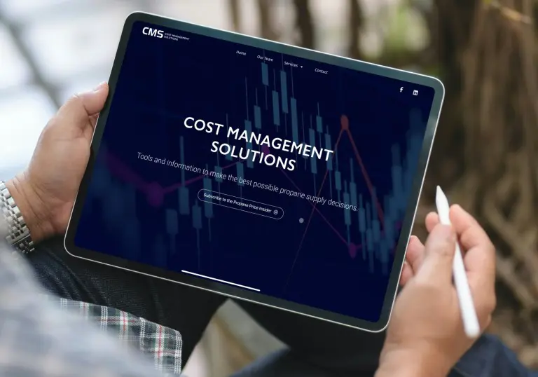 Custom WordPress Website Design - Cost Management Solutions